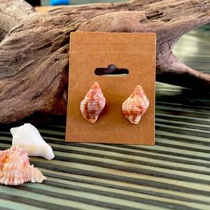 Shell earrings